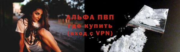 дмт Нея