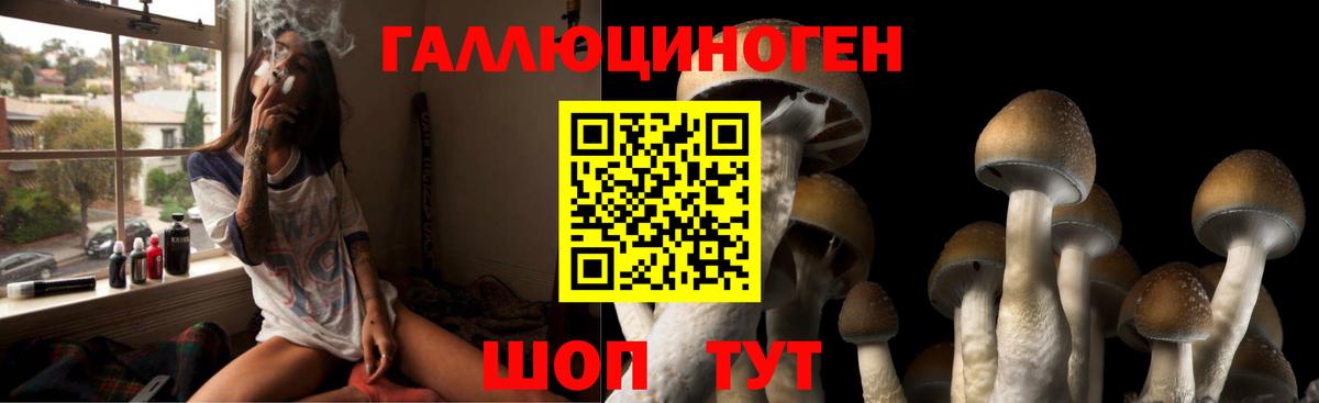 Нижний Тагил  Псилоцибиновые грибы Magic Shrooms  Вход с VPN 